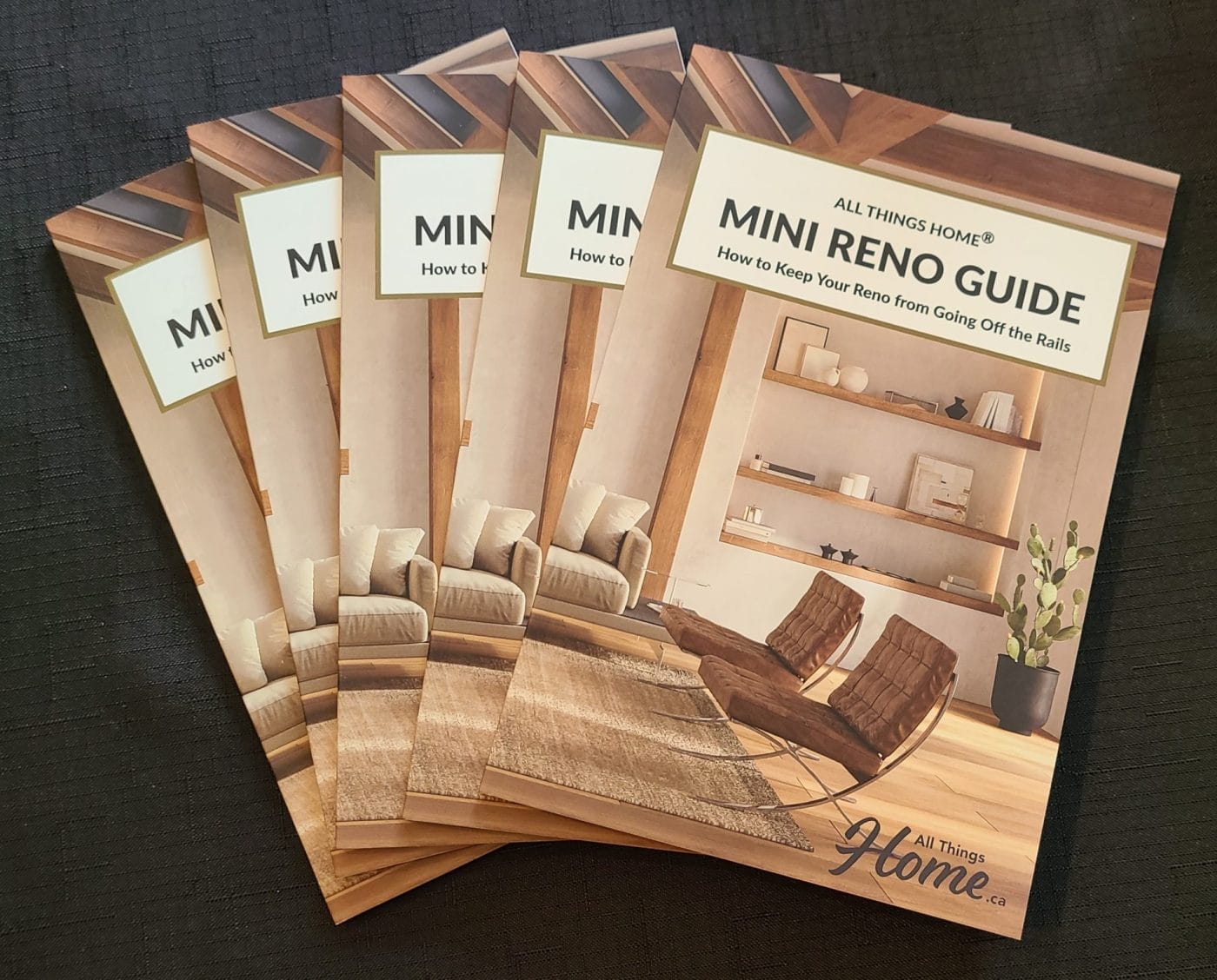 Accolades for the Mini Reno Guide Accolades for the Mini Reno Guide