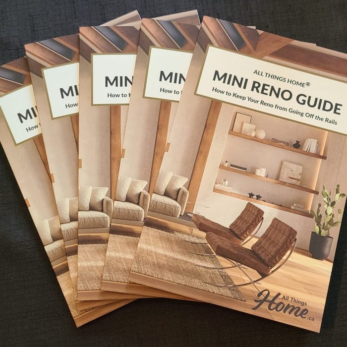 Accolades for the Mini Reno Guide